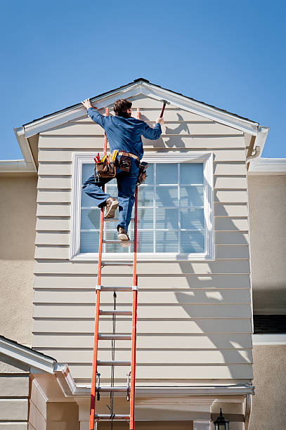 Best Fascia and Soffit Installation  in Red Bud, IL